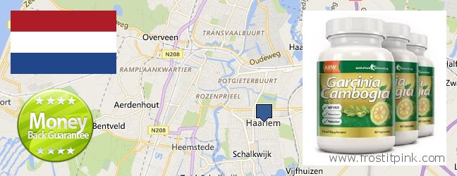 Where to Buy Garcinia Cambogia Extract online Haarlem, Netherlands