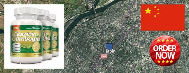 Where to Purchase Garcinia Cambogia Extract online Harbin, China