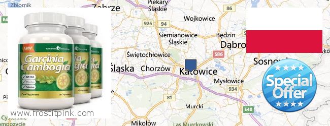 Wo kaufen Garcinia Cambogia Extract online Katowice, Poland