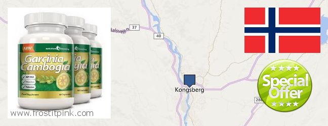 Jälleenmyyjät Garcinia Cambogia Extract verkossa Kongsberg, Norway
