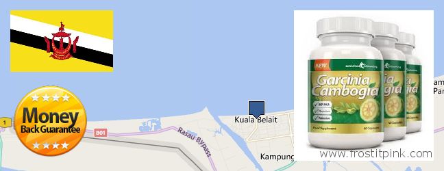 Where to Purchase Garcinia Cambogia Extract online Kuala Belait, Brunei