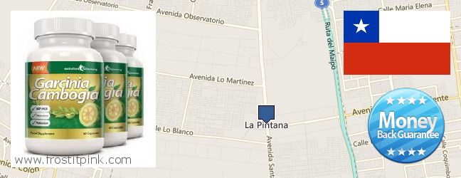 Dónde comprar Garcinia Cambogia Extract en linea La Pintana, Chile