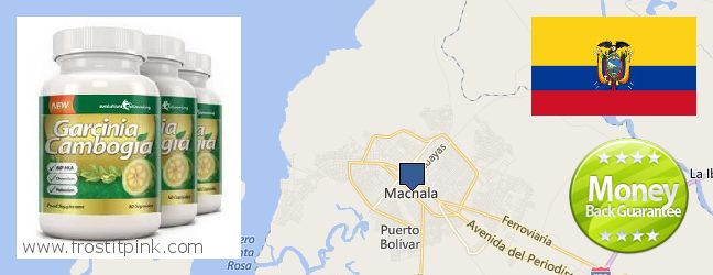 Dónde comprar Garcinia Cambogia Extract en linea Machala, Ecuador