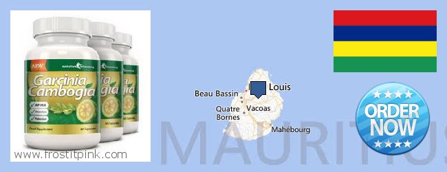Buy Garcinia Cambogia Extract online Mauritius Where Can I Buy Garcinia Cambogia Extract online Mauritius