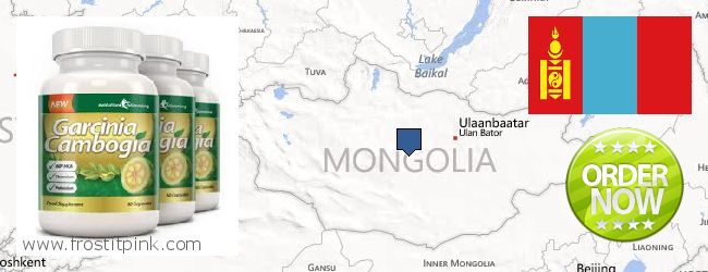 Where Can You Buy Garcinia Cambogia Extract online Mongolia