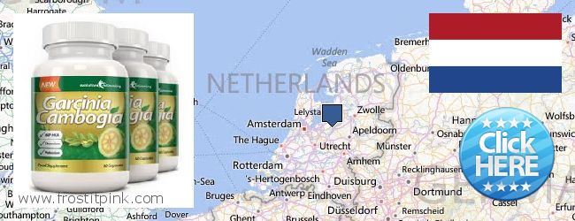Buy Garcinia Cambogia Extract online Netherlands Where to Buy Garcinia Cambogia Extract online Netherlands