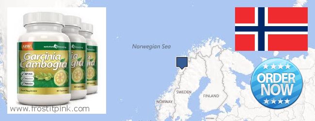 Where to Buy Garcinia Cambogia Extract online Norway