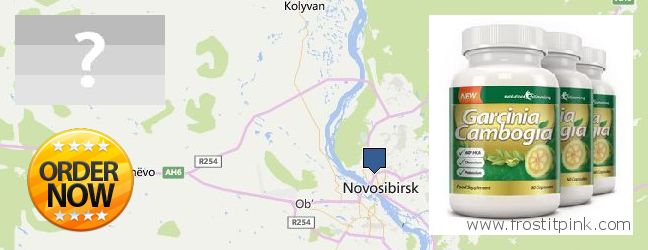 Где купить Garcinia Cambogia Extract онлайн Novosibirsk, Russia