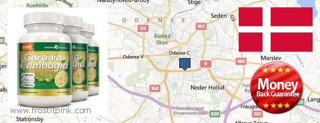 Where to Buy Garcinia Cambogia Extract online Odense, Denmark