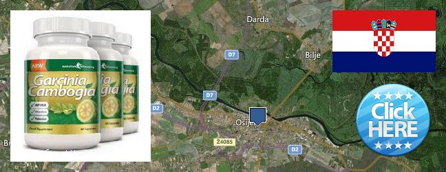 Where to Purchase Garcinia Cambogia Extract online Osijek, Croatia