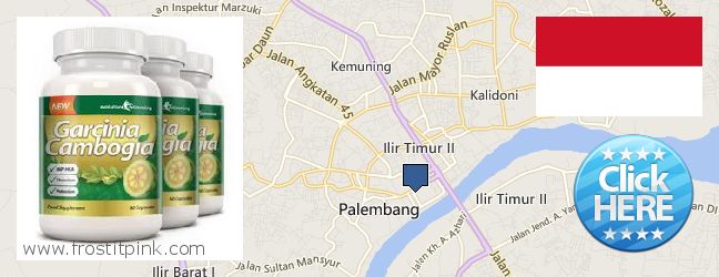 Where Can You Buy Garcinia Cambogia Extract online Palembang, Indonesia