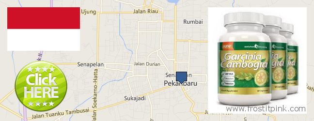 Where to Buy Garcinia Cambogia Extract online Pekanbaru, Indonesia