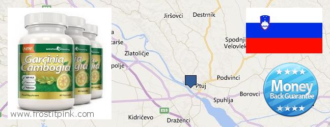Dove acquistare Garcinia Cambogia Extract in linea Ptuj, Slovenia