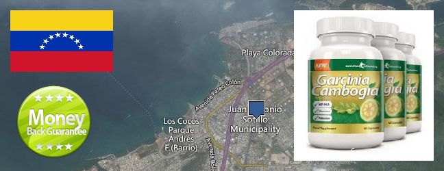 Where to Purchase Garcinia Cambogia Extract online Puerto La Cruz, Venezuela