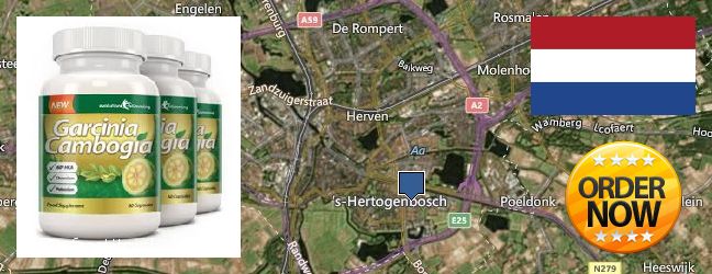 Where to Buy Garcinia Cambogia Extract online s-Hertogenbosch, Netherlands