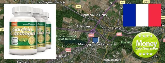 Où Acheter Garcinia Cambogia Extract en ligne Saint-Quentin-en-Yvelines, France