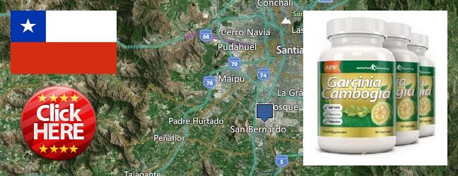 Where to Buy Garcinia Cambogia Extract online San Bernardo, Chile
