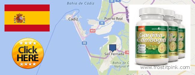 Where to Buy Garcinia Cambogia Extract online San Fernando, Spain