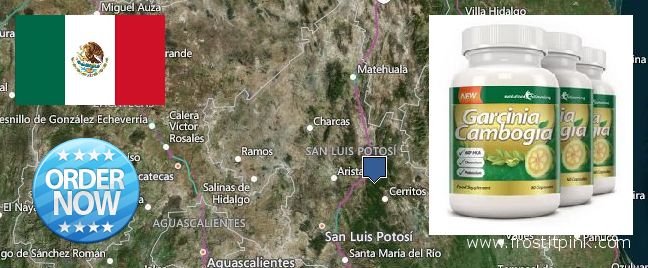 Dónde comprar Garcinia Cambogia Extract en linea San Luis Potosi, Mexico