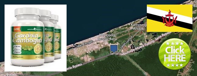 Where to Buy Garcinia Cambogia Extract online Seria, Brunei