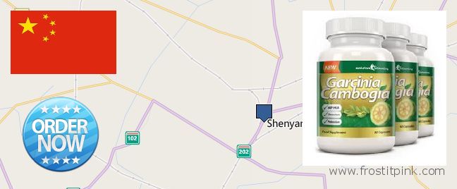 Where to Buy Garcinia Cambogia Extract online Shenyang, China