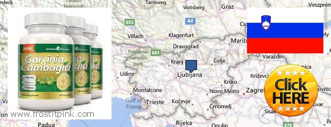 Where to Buy Garcinia Cambogia Extract online Slovenia