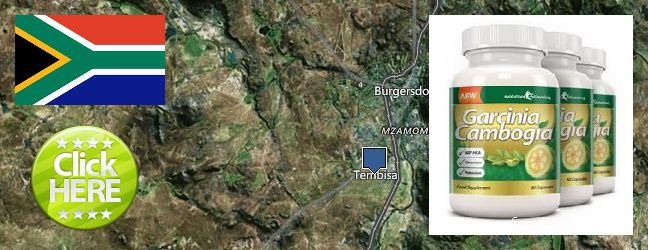 Waar te koop Garcinia Cambogia Extract online Tembisa, South Africa