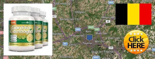 Where to Buy Garcinia Cambogia Extract online Tournai, Belgium
