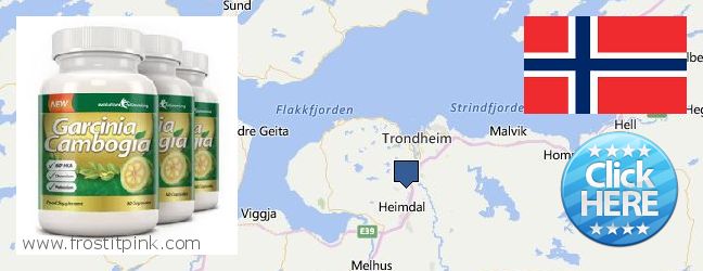 Hvor kjøpe Garcinia Cambogia Extract online Trondheim, Norway