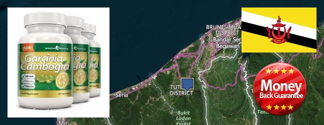 Where Can I Buy Garcinia Cambogia Extract online Tutong, Brunei