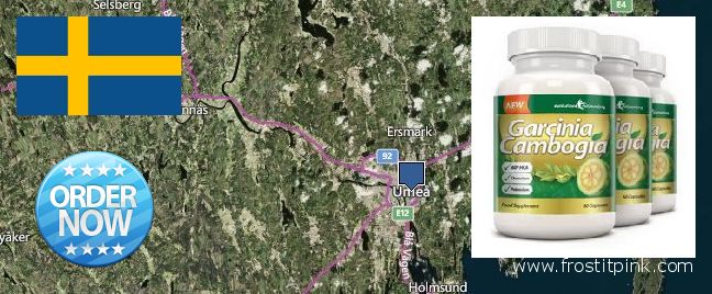 Where to Buy Garcinia Cambogia Extract online Umea, Sweden