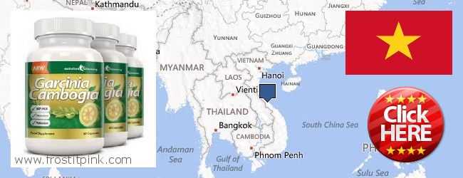Where Can I Buy Garcinia Cambogia Extract online Vietnam