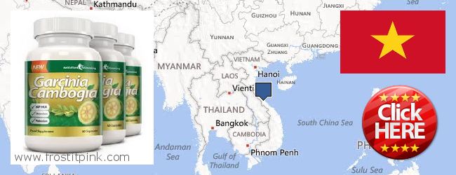 Buy Garcinia Cambogia Extract online Vietnam Where to Purchase Garcinia Cambogia Extract online Vietnam