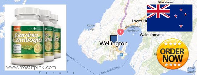 Buy Garcinia Cambogia Extract online Wellington, New Zealand