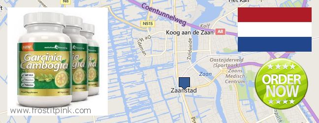 Waar te koop Garcinia Cambogia Extract online Zaanstad, Netherlands