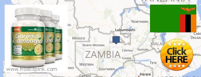 Where Can You Buy Garcinia Cambogia Extract online Zambia