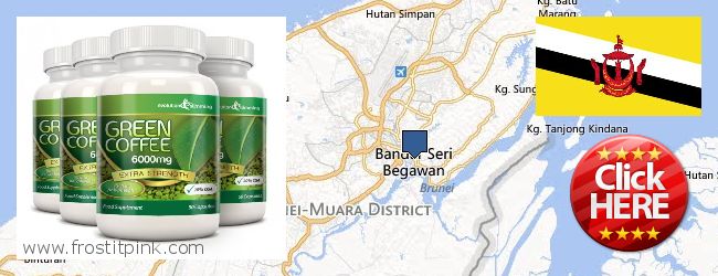 Where to Buy Green Coffee Bean Extract online Bandar Seri Begawan, Brunei