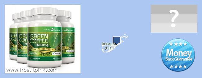 Kde koupit Green Coffee Bean Extract on-line Bermuda