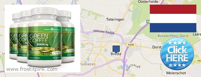 Waar te koop Green Coffee Bean Extract online Breda, Netherlands