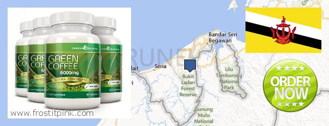 Де купити Green Coffee Bean Extract онлайн Brunei