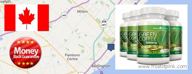 Where to Buy Green Coffee Bean Extract online Burlington, Canada