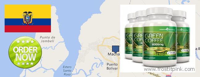 Dónde comprar Green Coffee Bean Extract en linea Machala, Ecuador