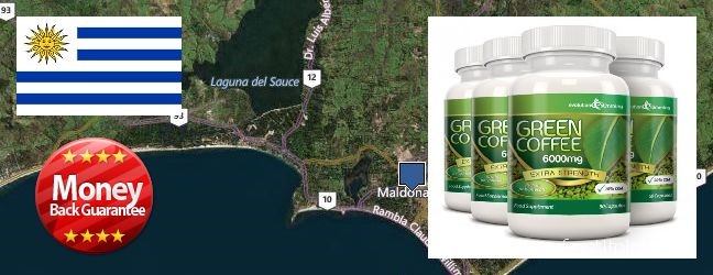 Dónde comprar Green Coffee Bean Extract en linea Maldonado, Uruguay