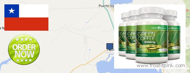 Dónde comprar Green Coffee Bean Extract en linea Puerto Montt, Chile