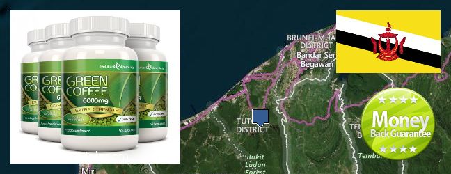 Best Place to Buy Green Coffee Bean Extract online Tutong, Brunei