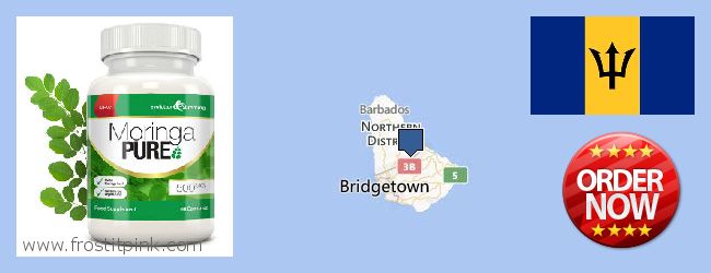 Where to Buy Moringa Capsules online Barbados