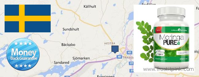 Where to Purchase Moringa Capsules online Boras, Sweden