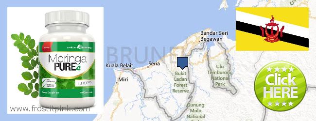 Where to Buy Moringa Capsules online Brunei