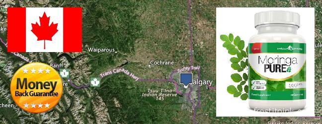 Where to Buy Moringa Capsules online Calgary, Canada