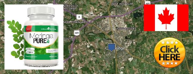 Purchase Moringa Capsules online Cambridge, Canada Where to Buy Moringa Capsules online Cambridge, Canada